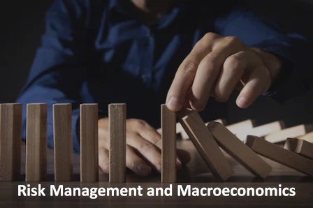Risk management and macroeconomics