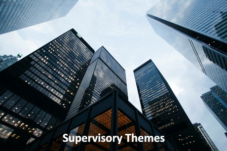 Supervisory themes